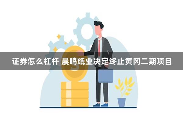 证券怎么杠杆 晨鸣纸业决定终止黄冈二期项目