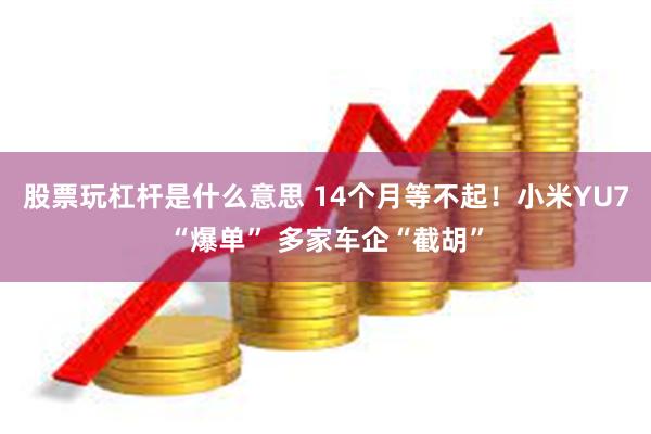 股票玩杠杆是什么意思 14个月等不起！小米YU7“爆单” 多家车企“截胡”