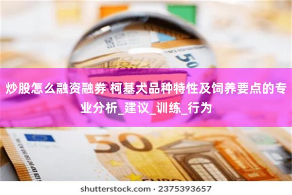 炒股怎么融资融券 柯基犬品种特性及饲养要点的专业分析_建议_训练_行为