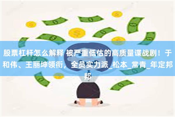 股票杠杆怎么解释 被严重低估的高质量谍战剧！于和伟、王丽坤领衔，全员实力派_松本_常青_年定邦